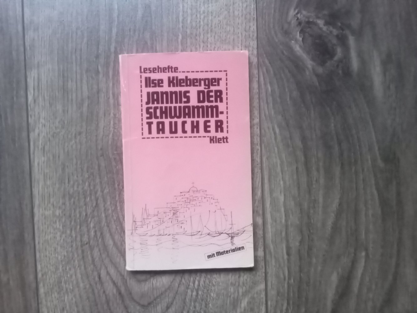 Jannis der Schwammtaucher Ilse Kleeberger Buch Klett Lektüre