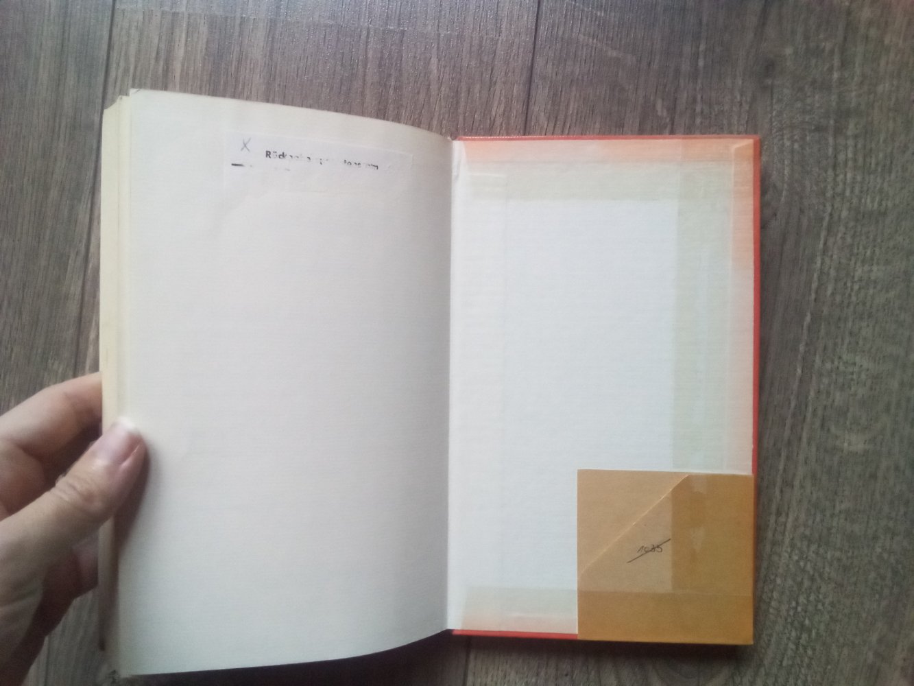 Das Pferd das im Sturm kam Meindert de Jong