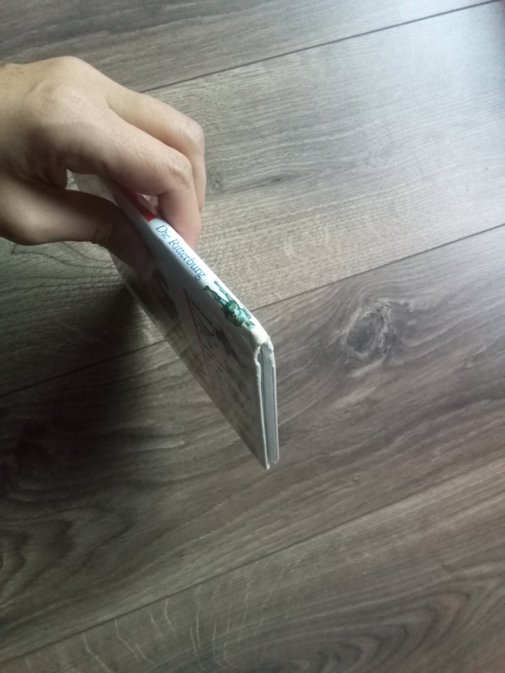 Die Ritterburg Meyers kleine Kinderbibliothek ab 4 Sachbuch Spiralbindung