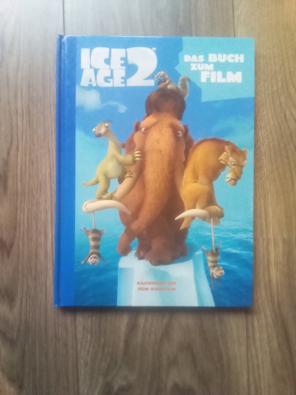 Ice Age 2 das Buch zum Film Bilderbuch gebunden