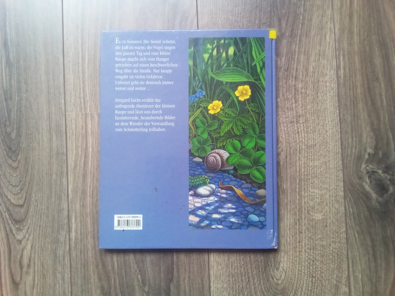 Das Raupenabenteuer Irmgard Lucht Ravensburger