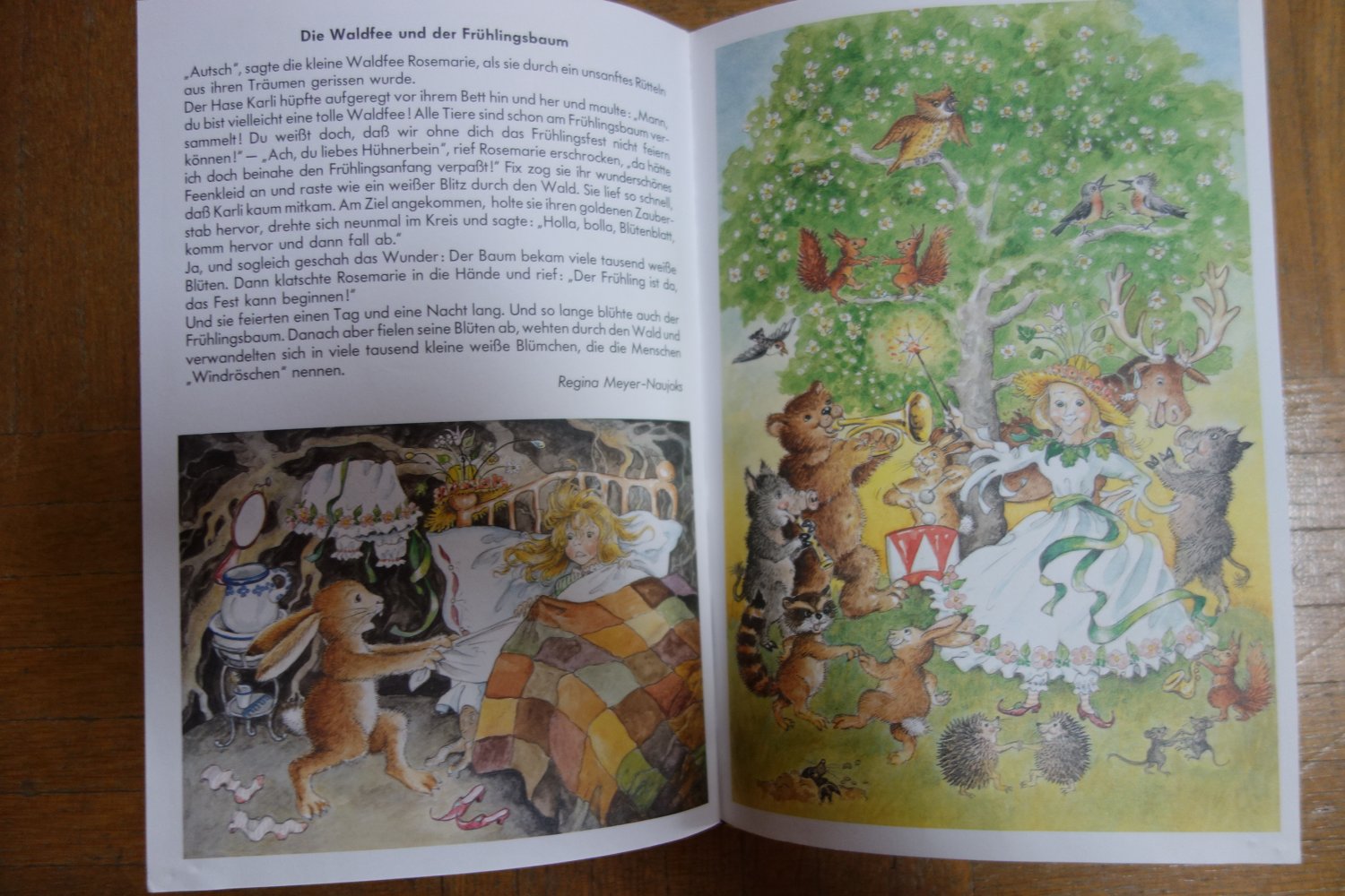 Schmetterling und Pusteblume 12 sonnige Geschichten Sigrid Gregor 