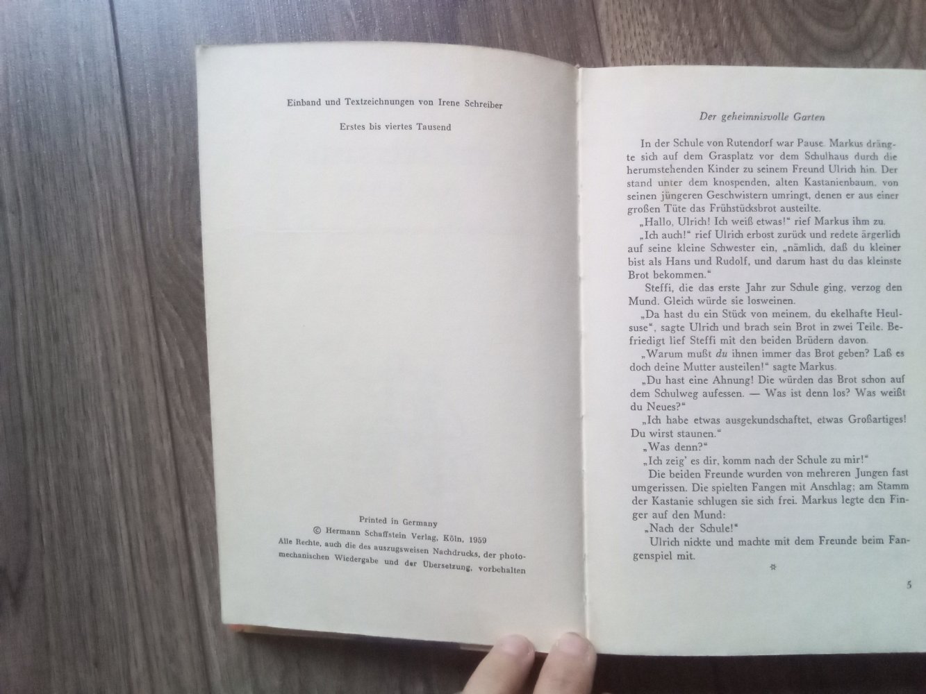 Sommerstürme der seltsame Nachbar Mary Stolz Rose Planner-Petelin