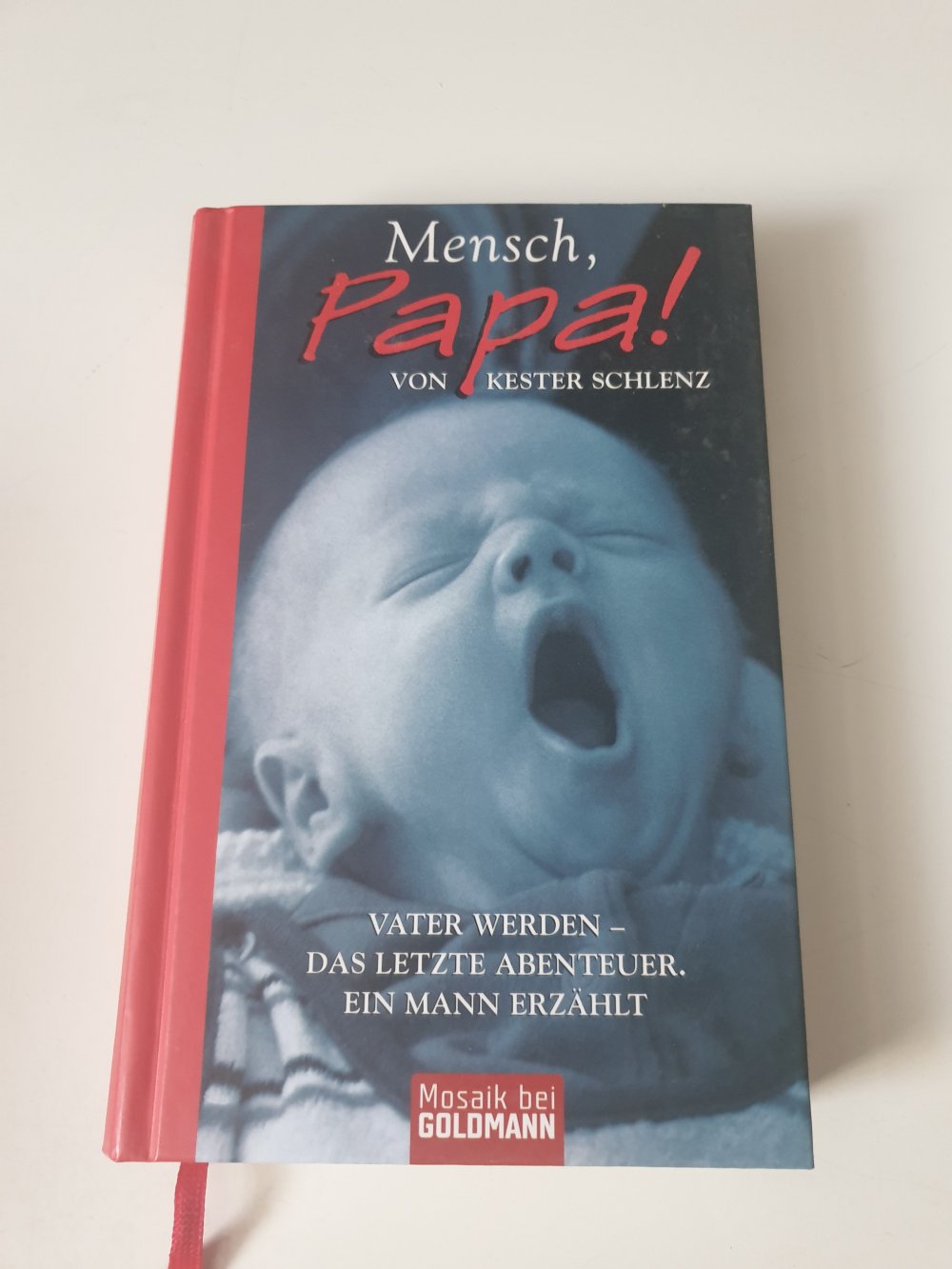 Mensch Papa - Kester Schlenz
