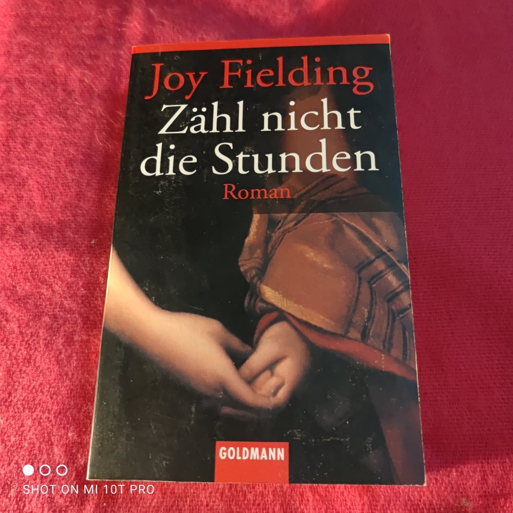 Zähl nicht die Stunden - Joy Fielding