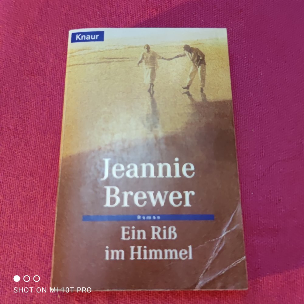Ein Riss im Himmel - Jeannie Brevier