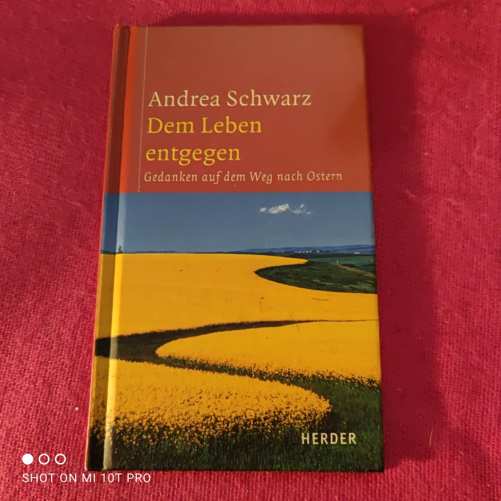 Dem Leben entgegen - Andrea Schwarz