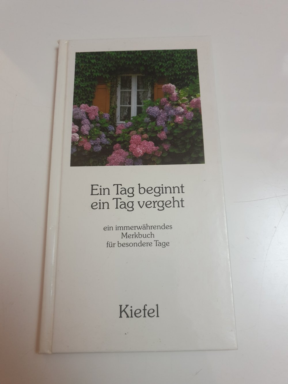Ein Tag beginnt Ein Tag vergeht - Barbara Grün