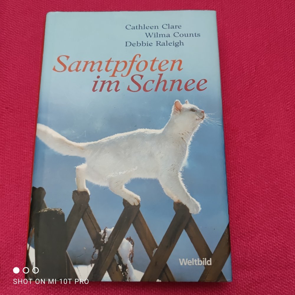 Samtpfoten im Schnee 