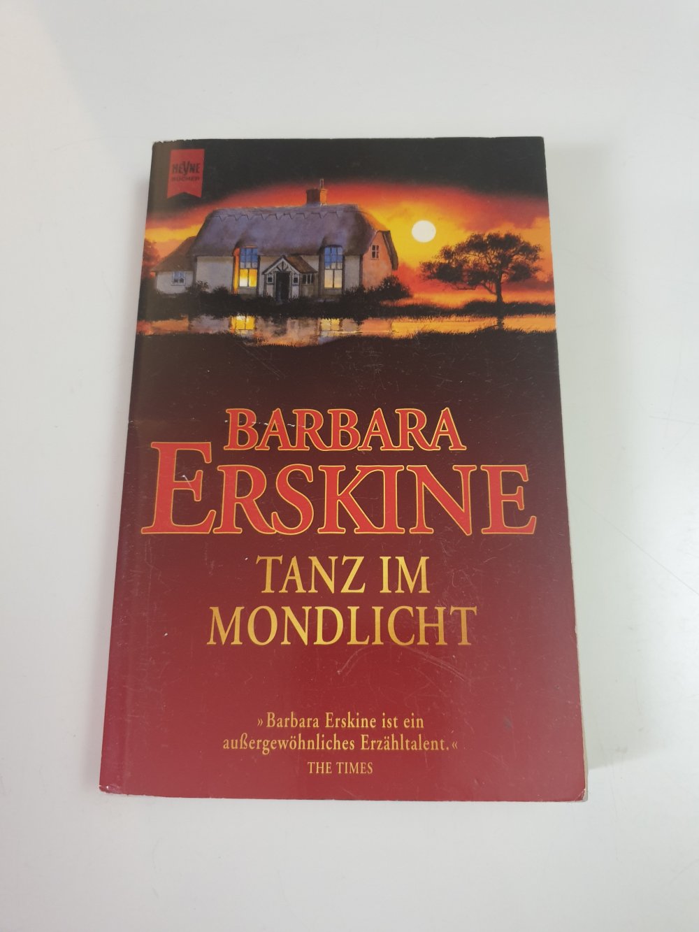 Tanz im Mondlicht - Barbara Erskine