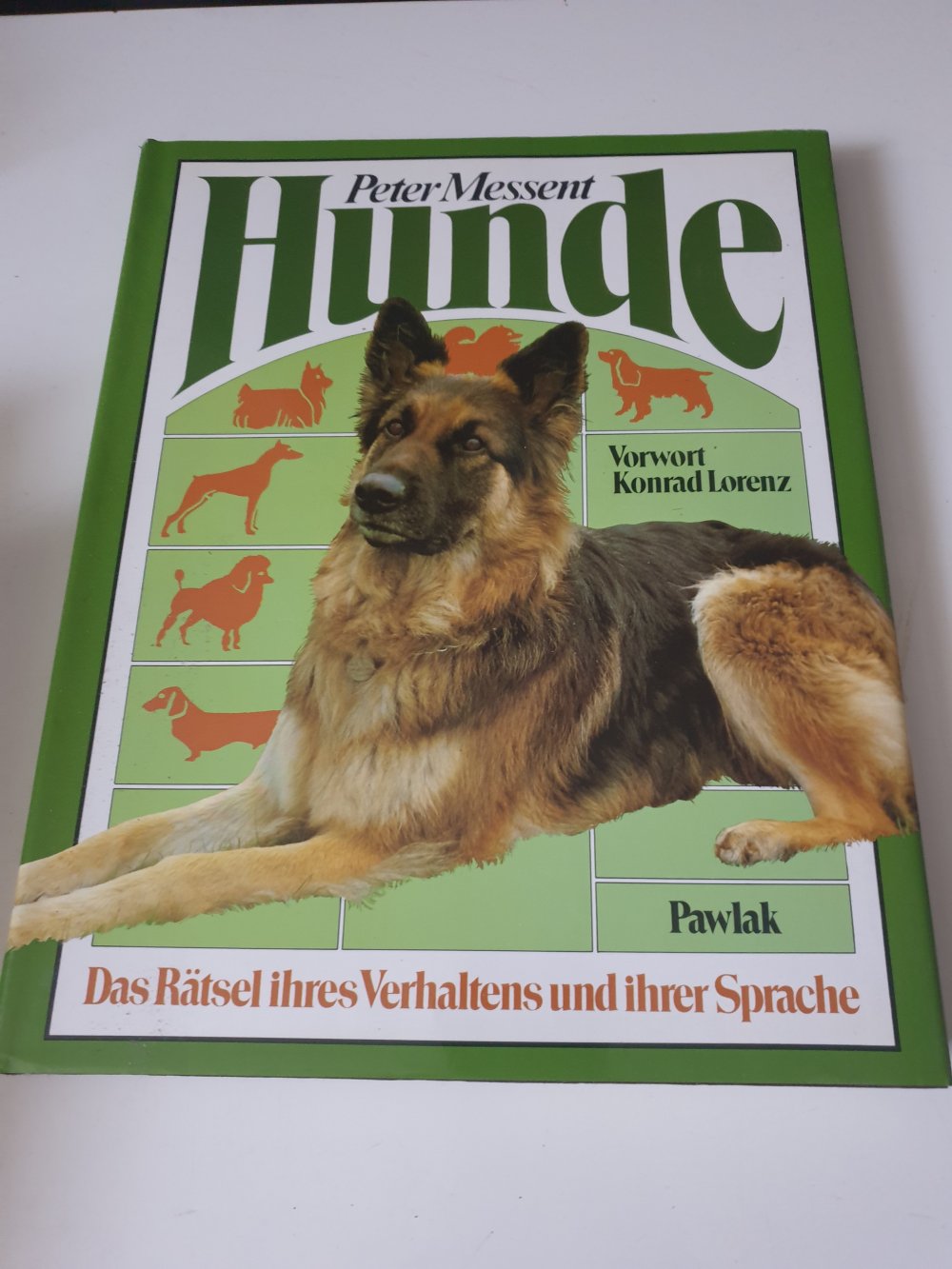 Hunde - Peter Messent