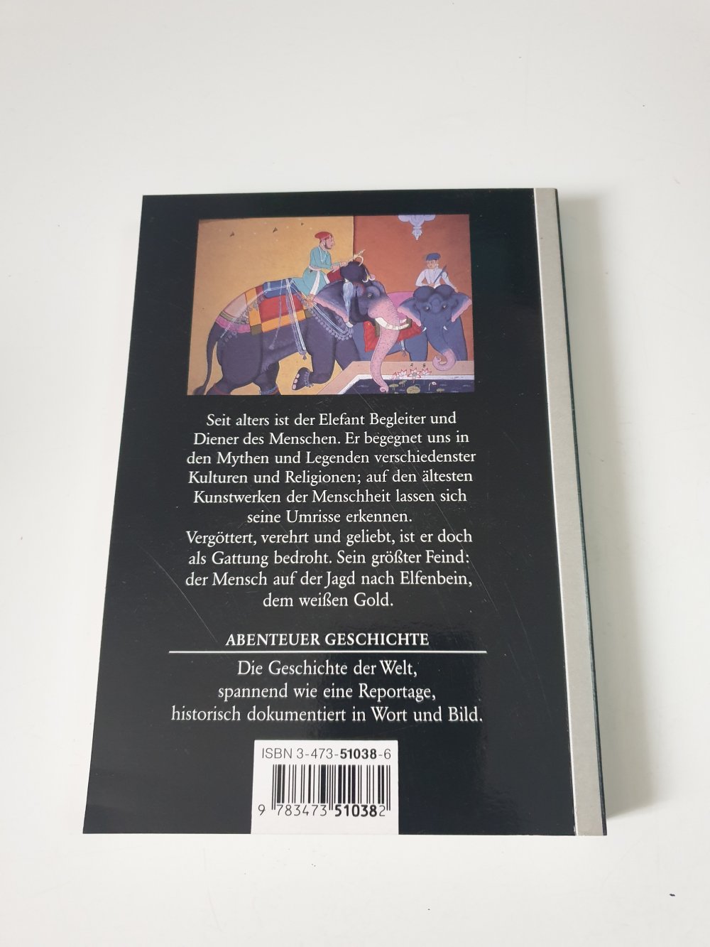 Elefanten - Götterboten und Gejagte