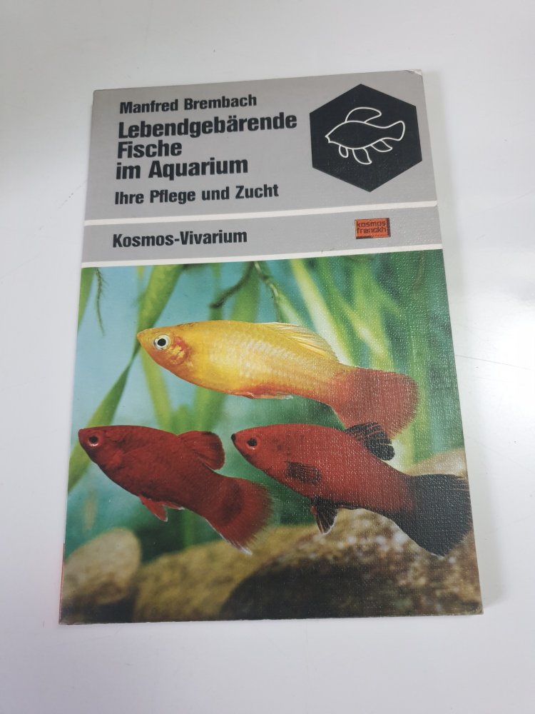 Lebendgebärende Fische im Aquarium