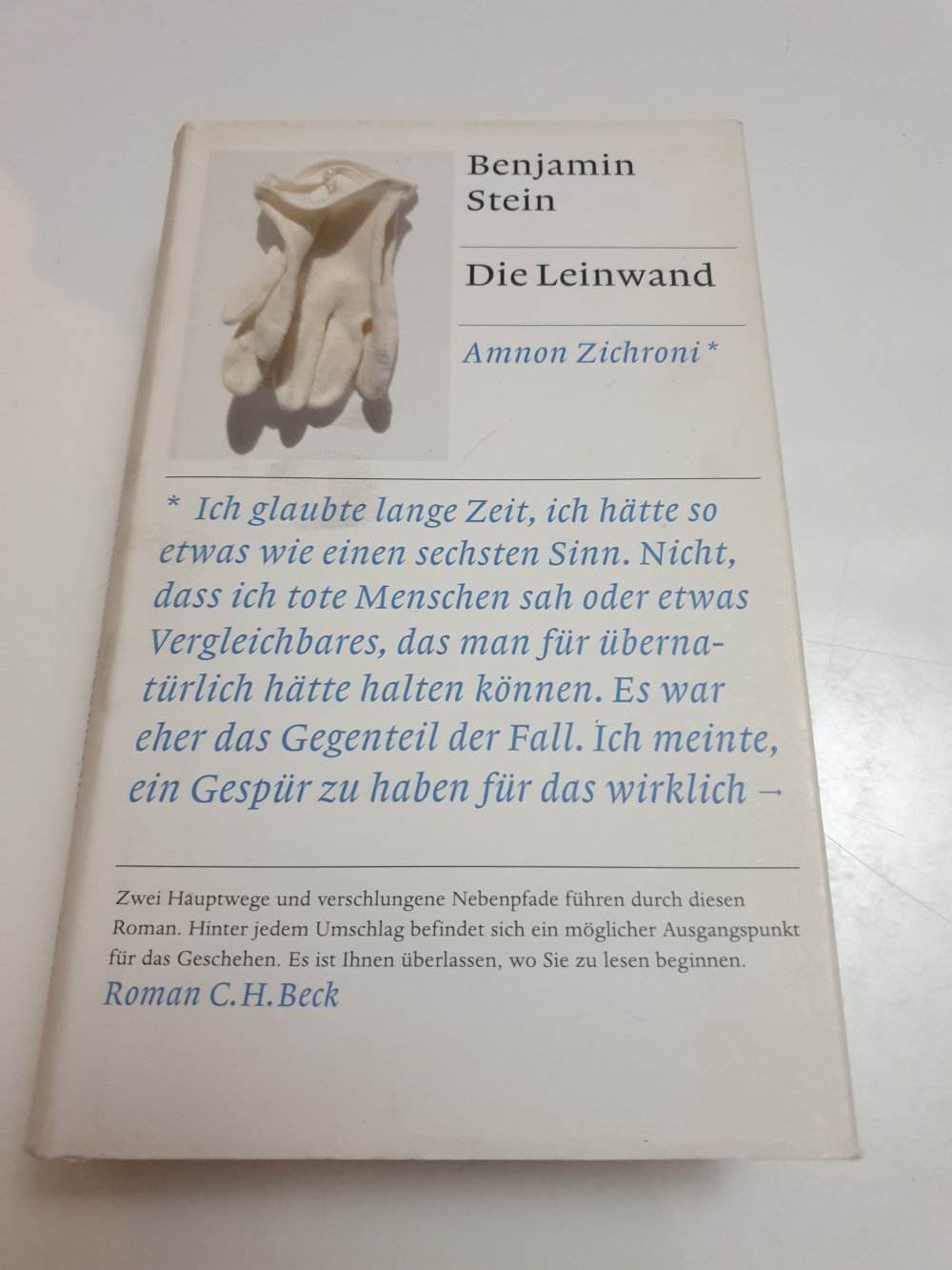 Die Leinwand - Benjamin Stein 