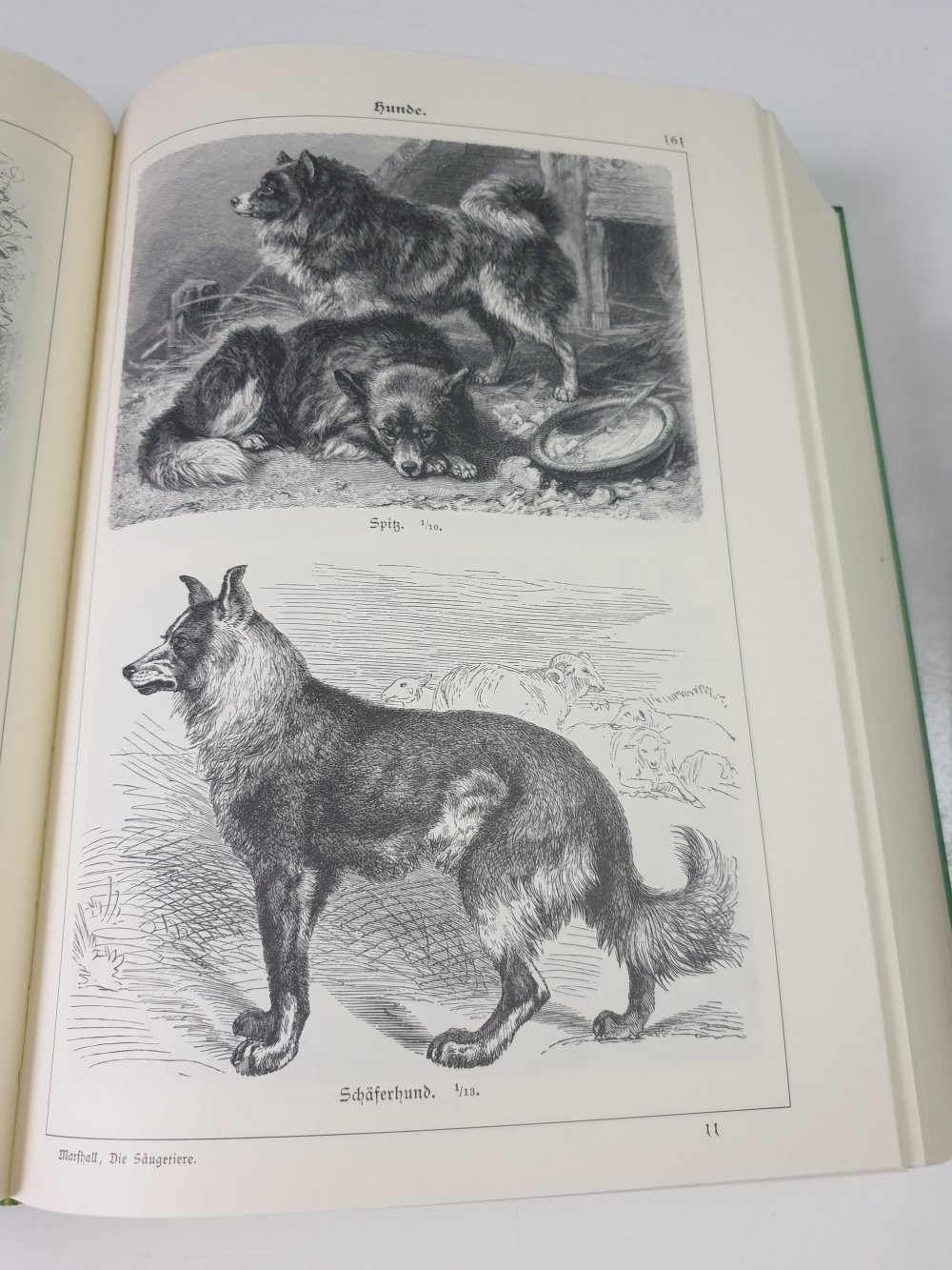 Bilderatlas der Tiere - William Marshall