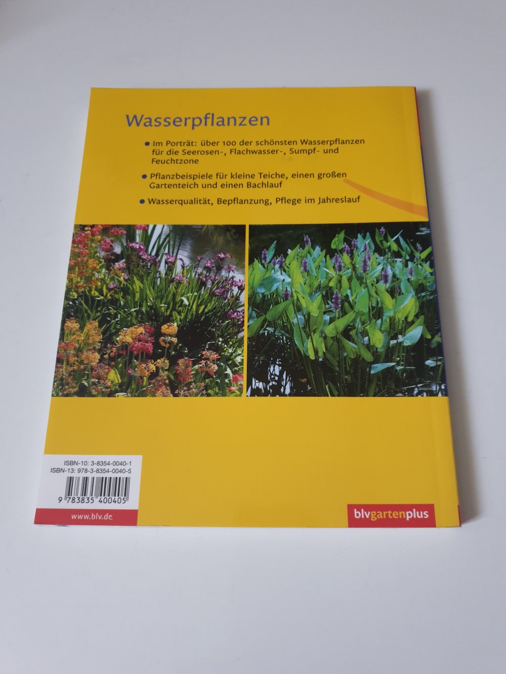 Wasserpflanzen - Walter Schimana