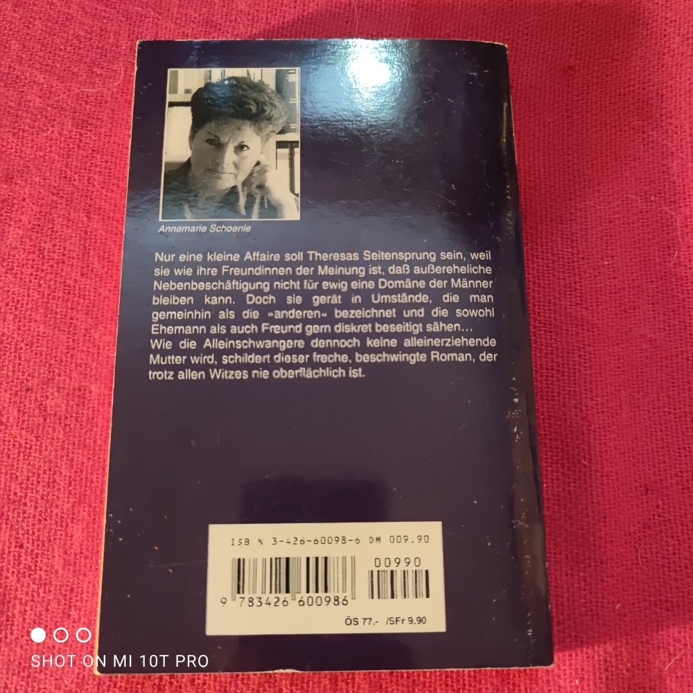 Nur eine kleine Affäre - Annemarie Schoenle