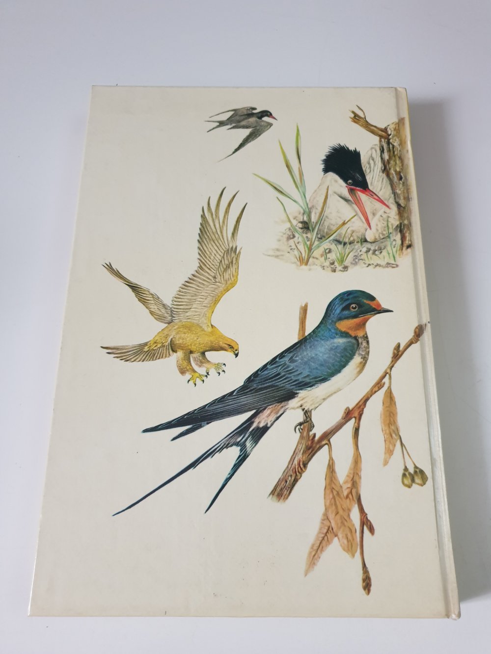 Das grosse Buch der Vögel