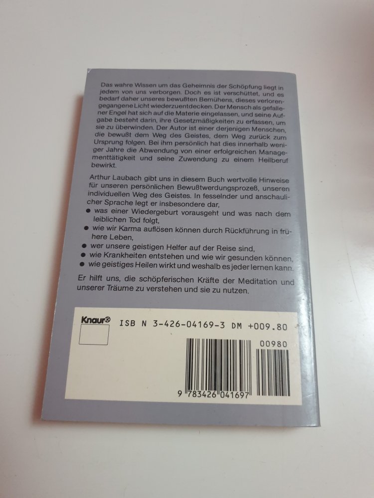 Der Weg des Geistes - Arthur Lauterbach