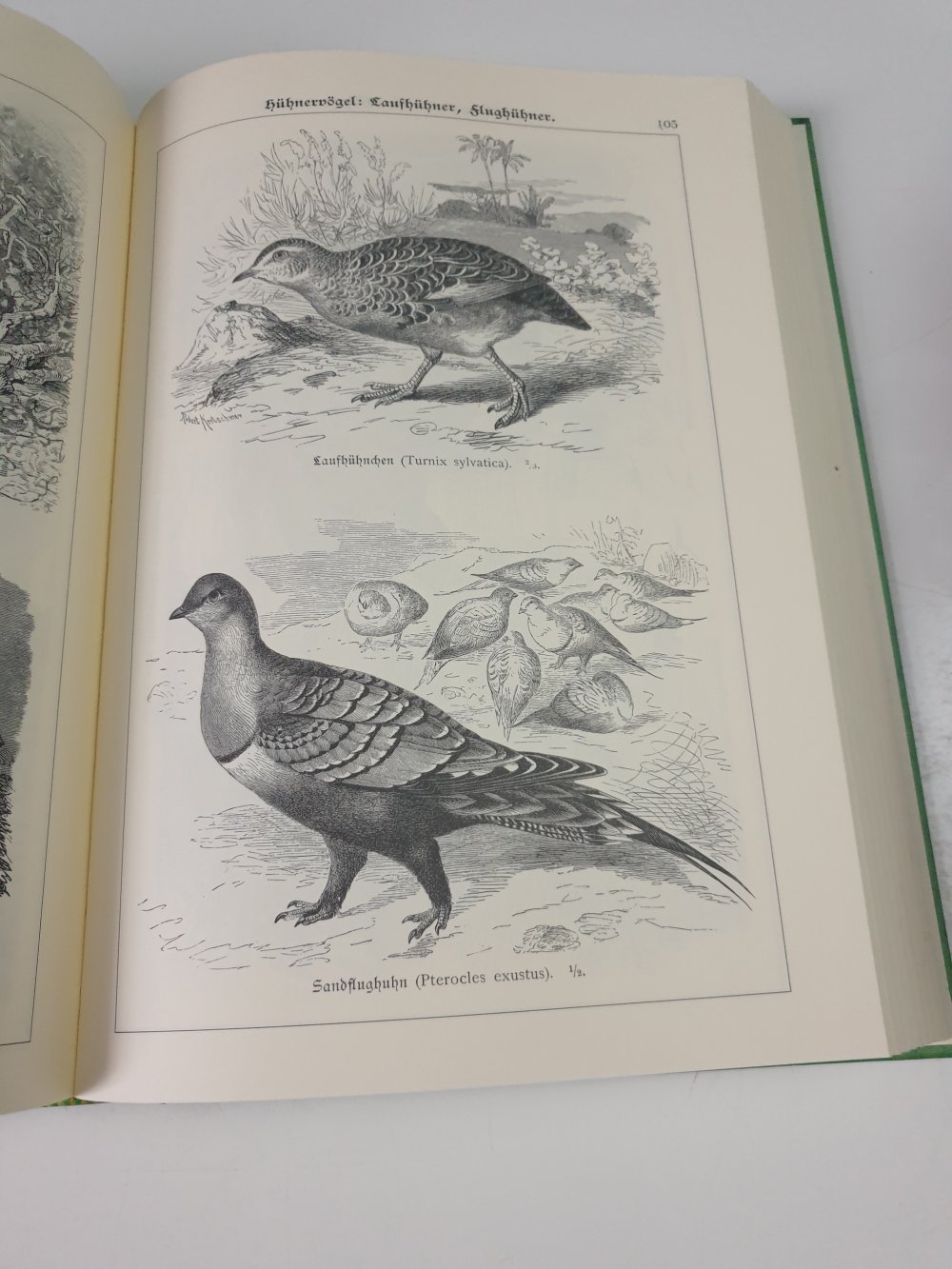 Bilderatlas der Tiere - William Marshall