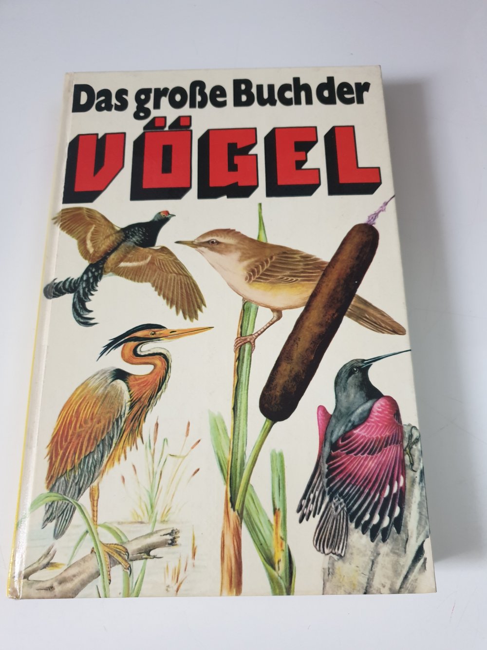 Das grosse Buch der Vögel