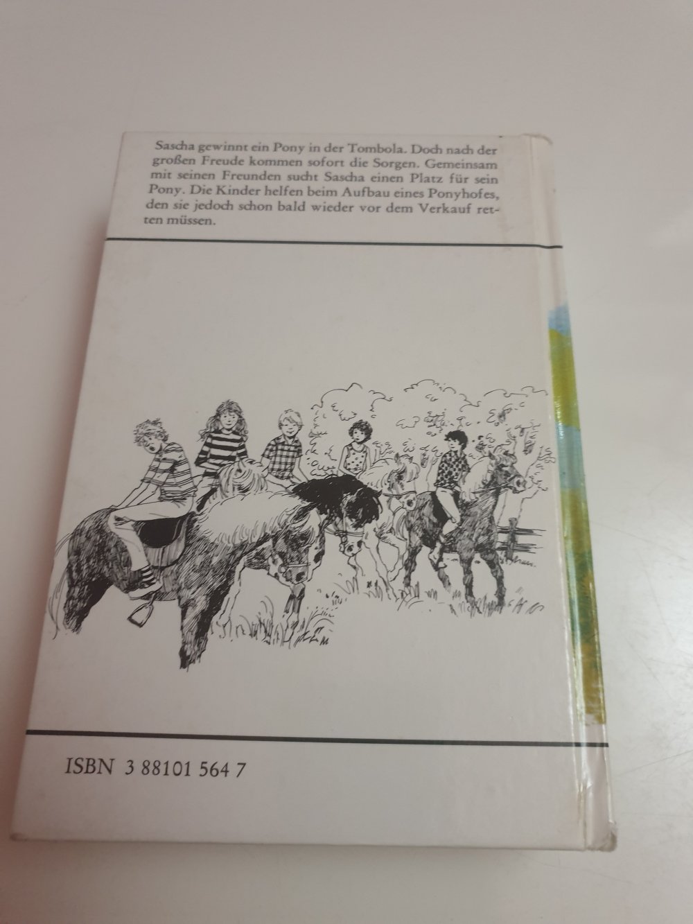 Hauptgewinn ein Pony - Margot Potthoff