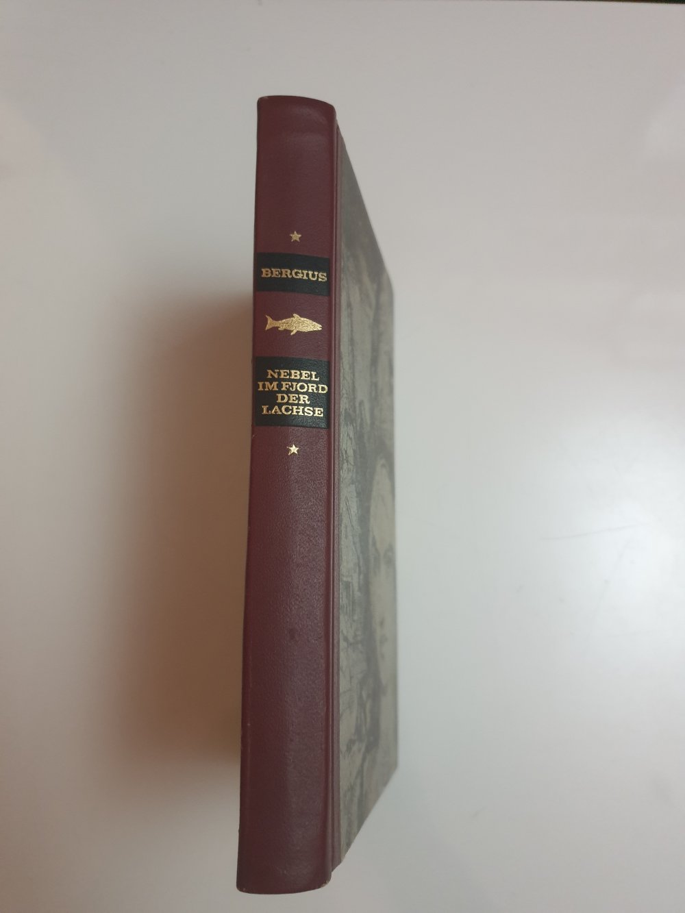 Nebel im Fjord der Lachse - C.C.Bergius