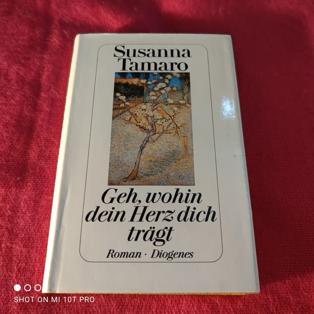 Geh, wohin dein Herz dich trägt - Susanna Tamaro