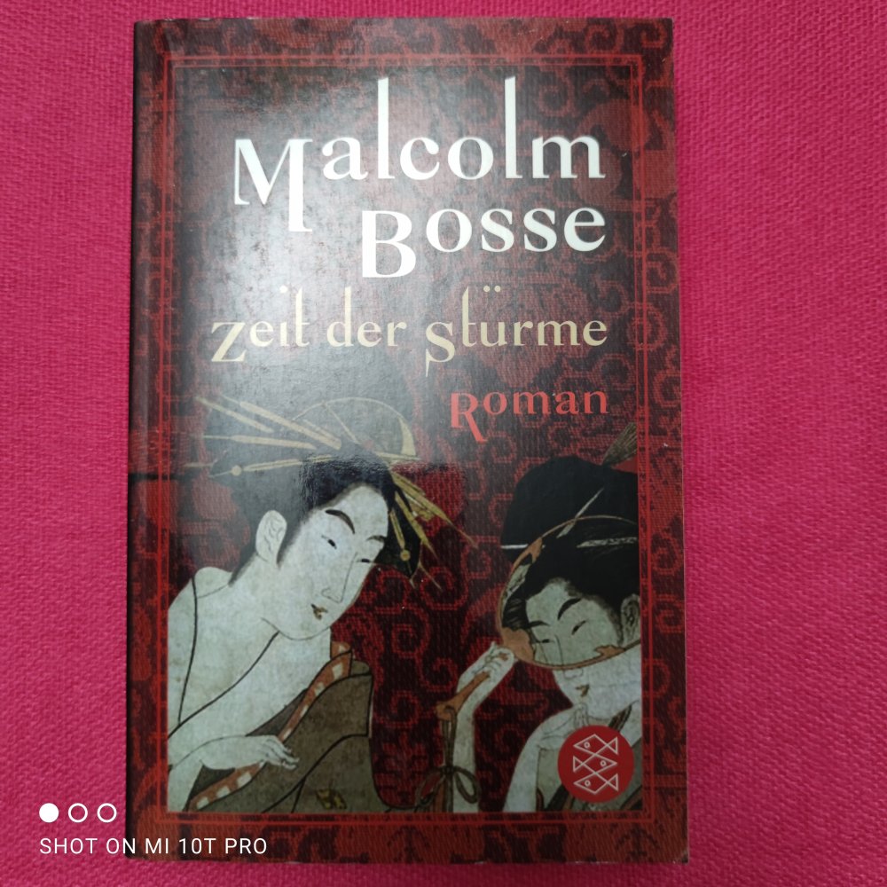 Zeit der Stürme - Malcolm Bosse