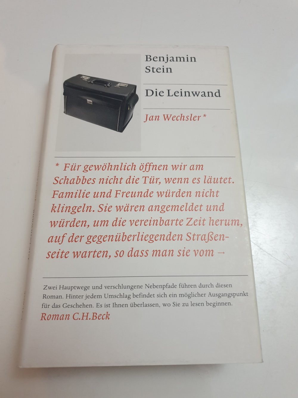 Die Leinwand - Benjamin Stein 