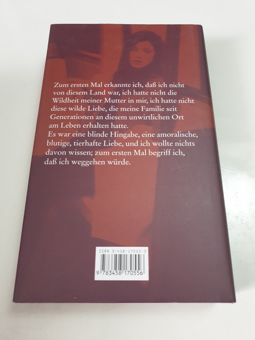 Das Echo meiner Schritte - Judy Budnitz