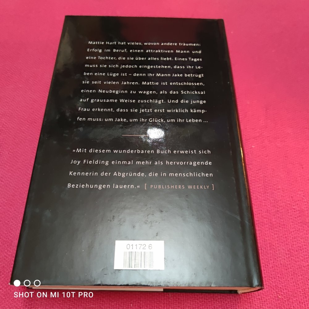 Zahl nicht die Stunden - Joy Fielding