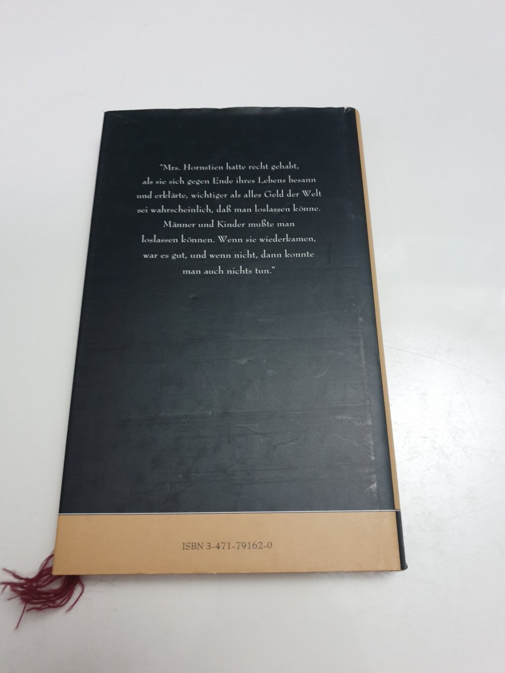 Mrs. Hornstien oder Das Glück der Frauen - Frederica Wagman