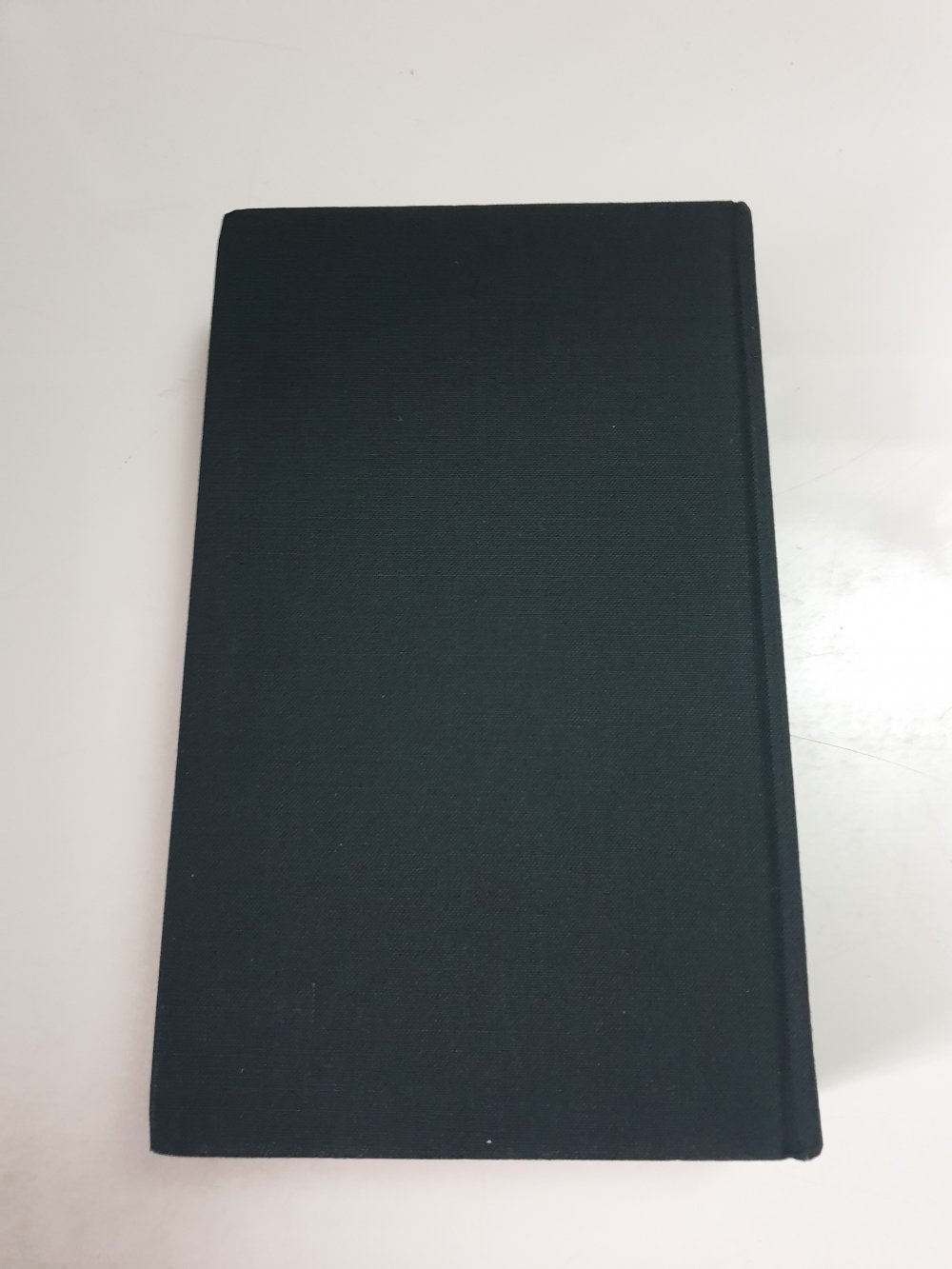 Die Terroristin - Doris Lessing