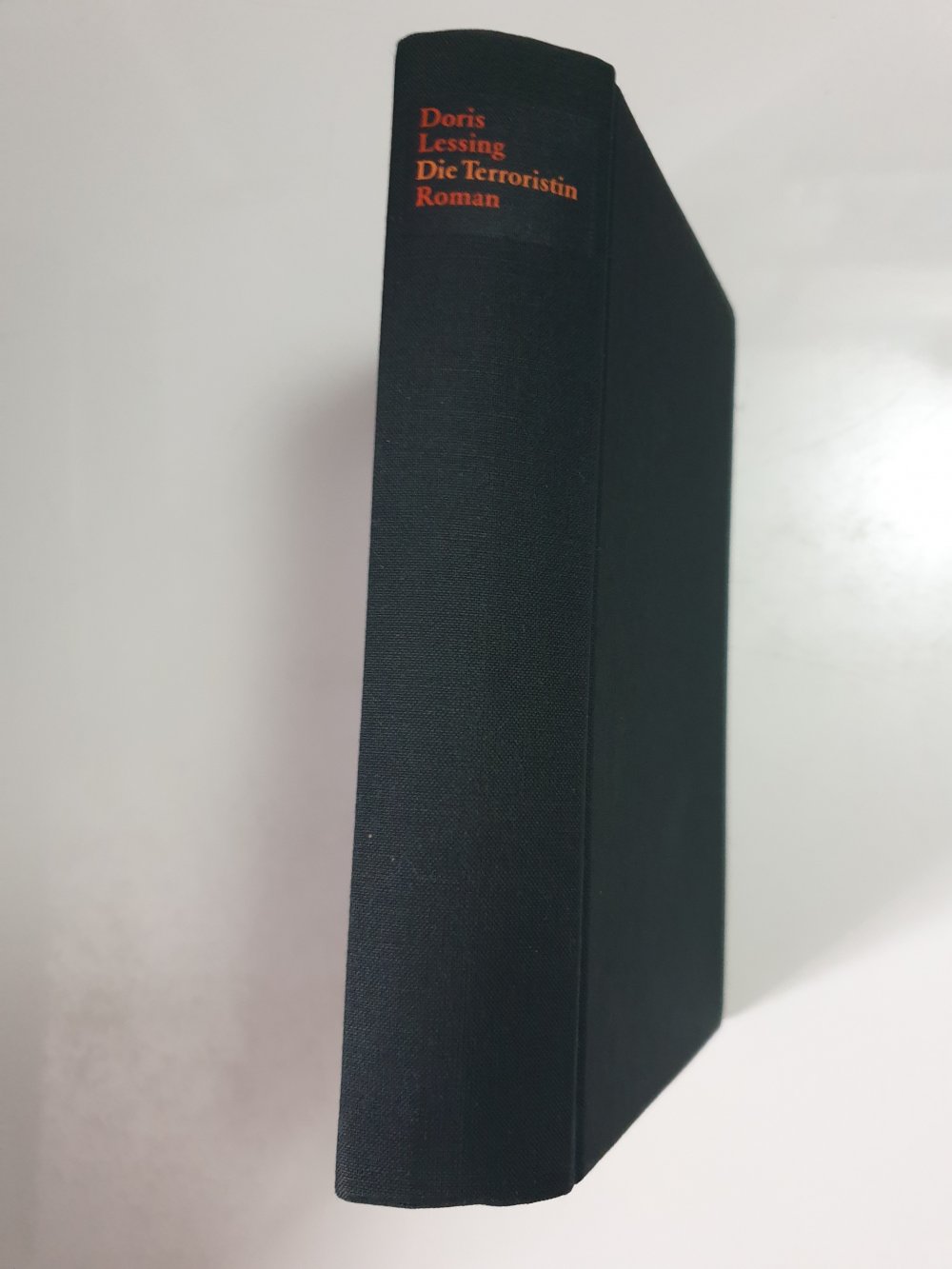 Die Terroristin - Doris Lessing