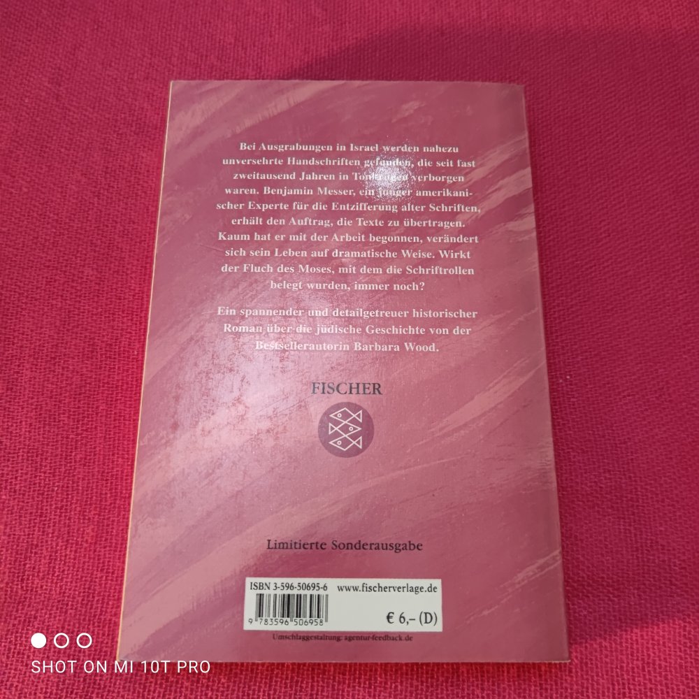 Der Fluch der Schriftrollen - Barbara Wood