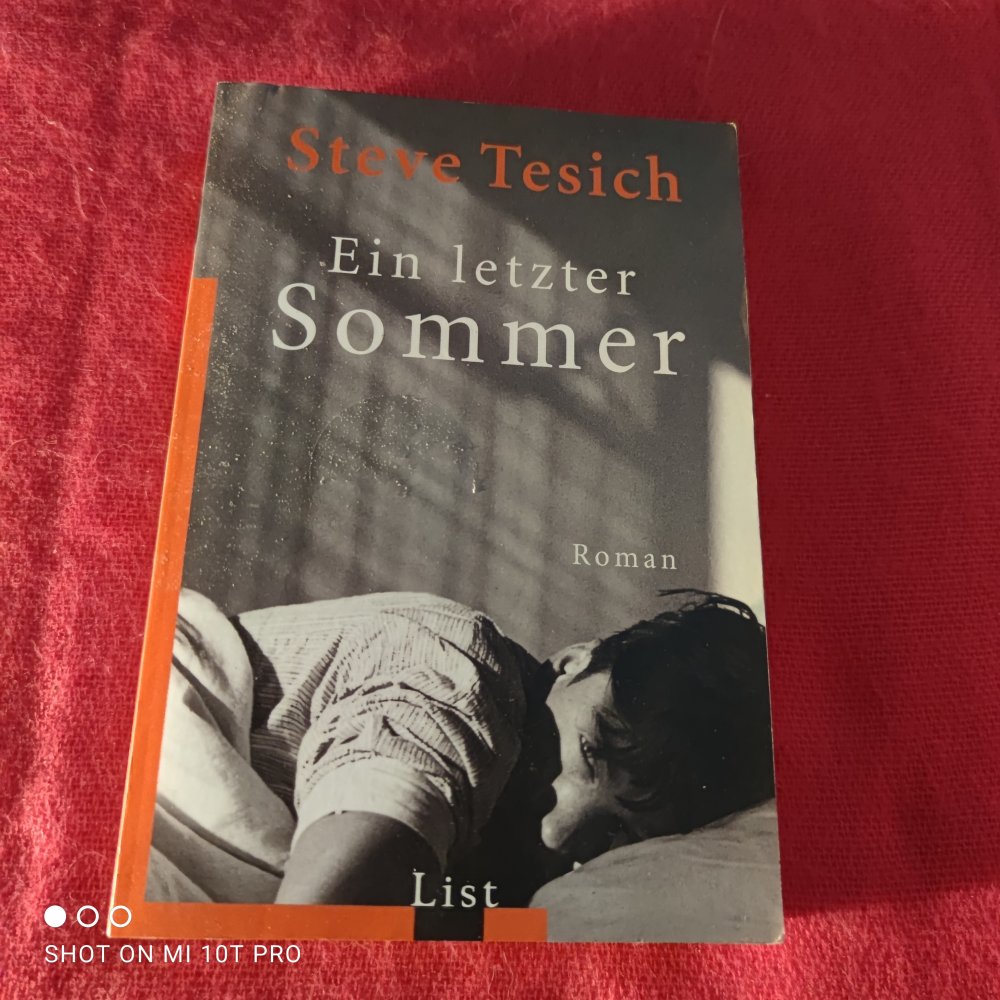 Ein letzter Sommer - Steve Tesich