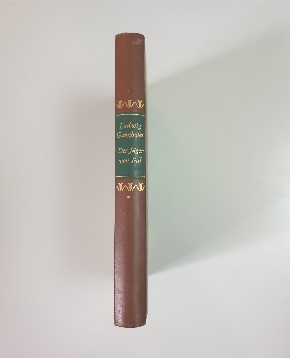 Der Jäger vom Fall - Ludwig Ganghofer