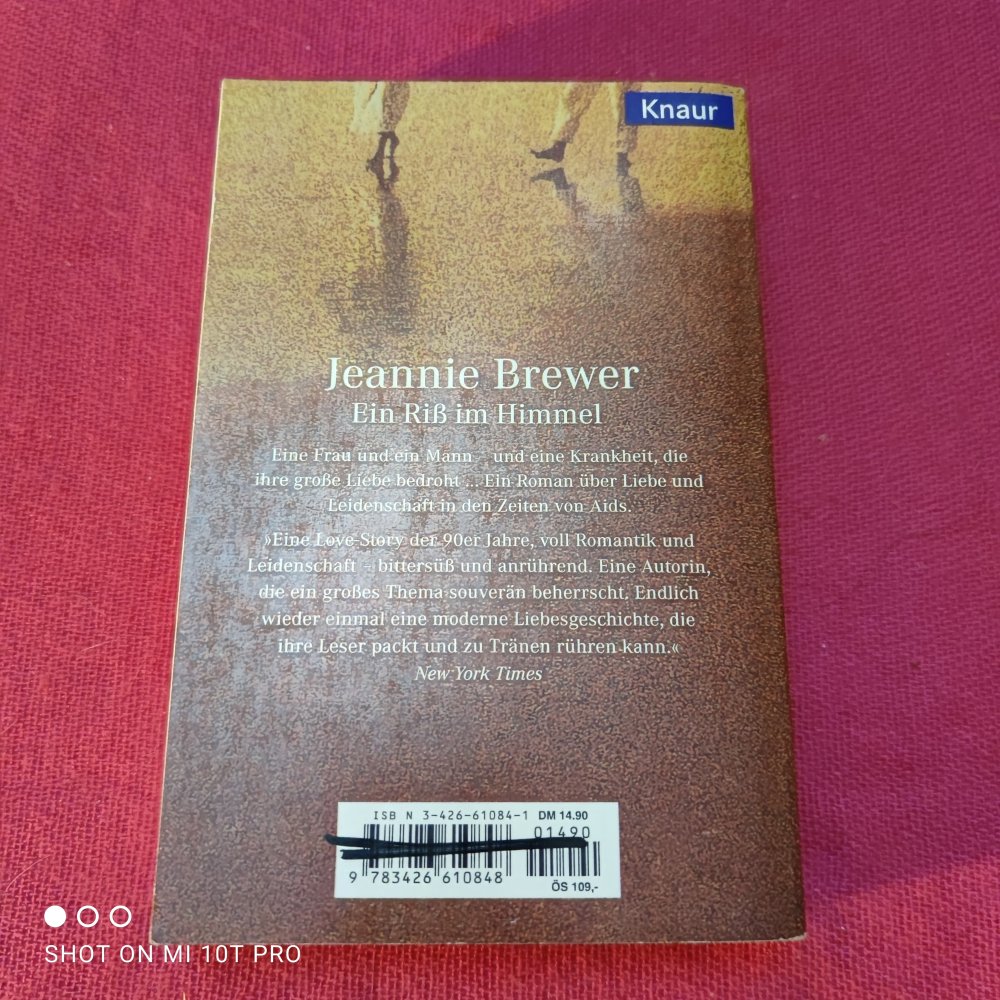 Ein Riss im Himmel - Jeannie Brevier