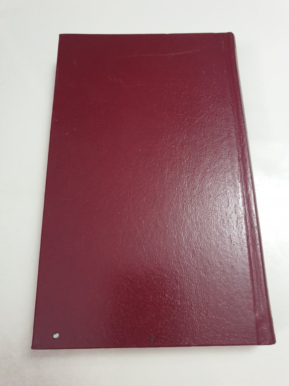 Dr Thomas Bruckner  - Ein Schritt bis zur Ewigkeit 