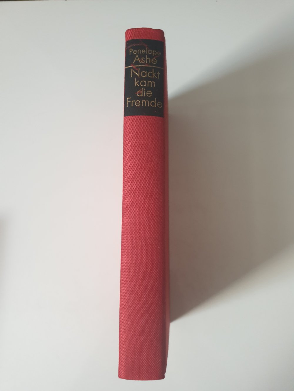 Nackt kam die Fremde - Penelope Ashe