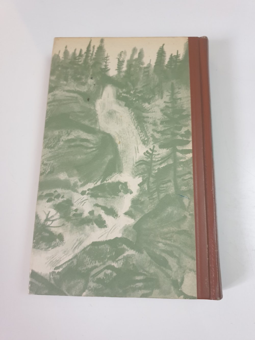 Der Jäger vom Fall - Ludwig Ganghofer