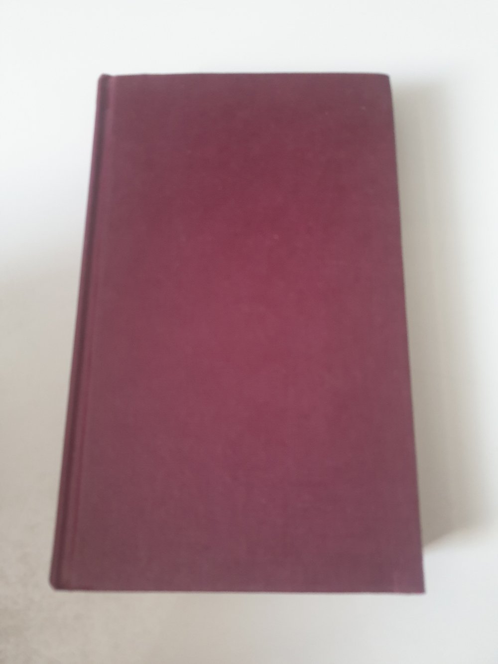 Mein Bett ist nicht zum schlafen da - Gerty Agoston