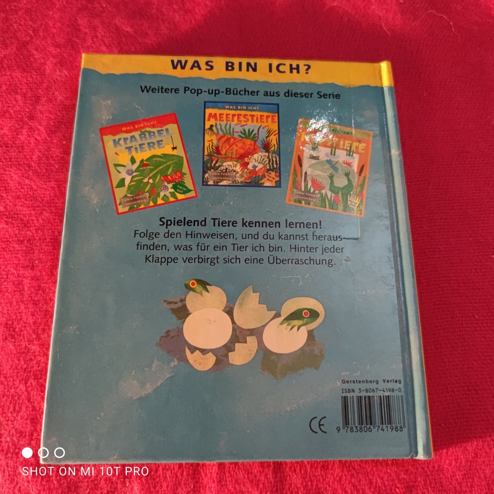 Was bin ich ? - Überraschungseier