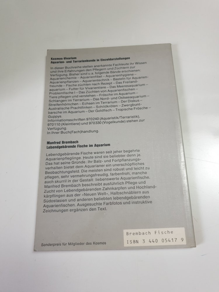 Lebendgebärende Fische im Aquarium