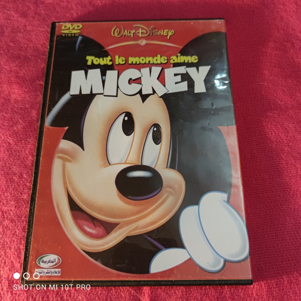 Tout le monde aime Mickey