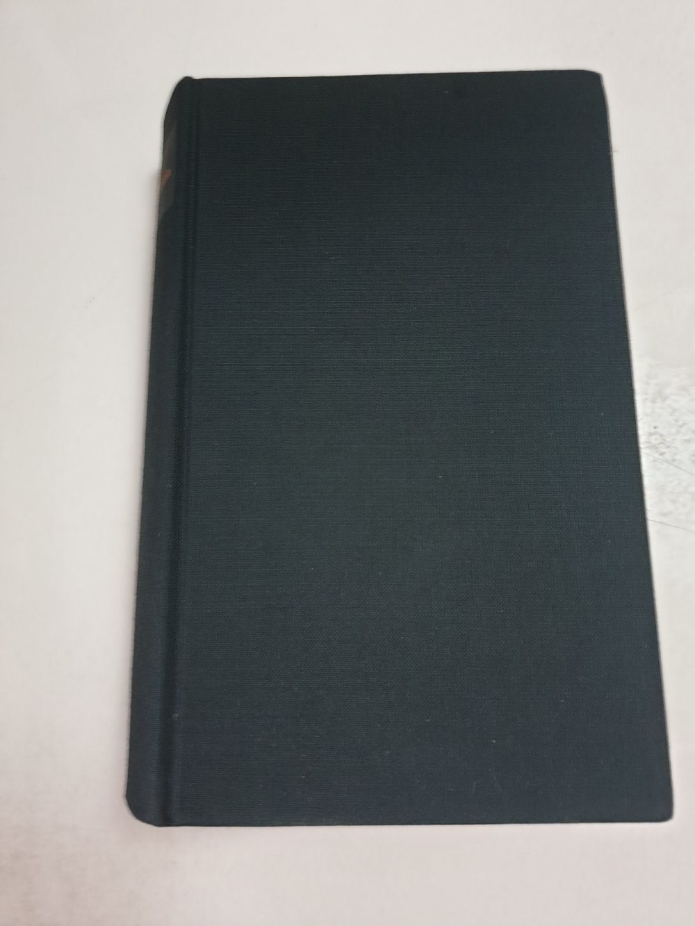 Die Terroristin - Doris Lessing