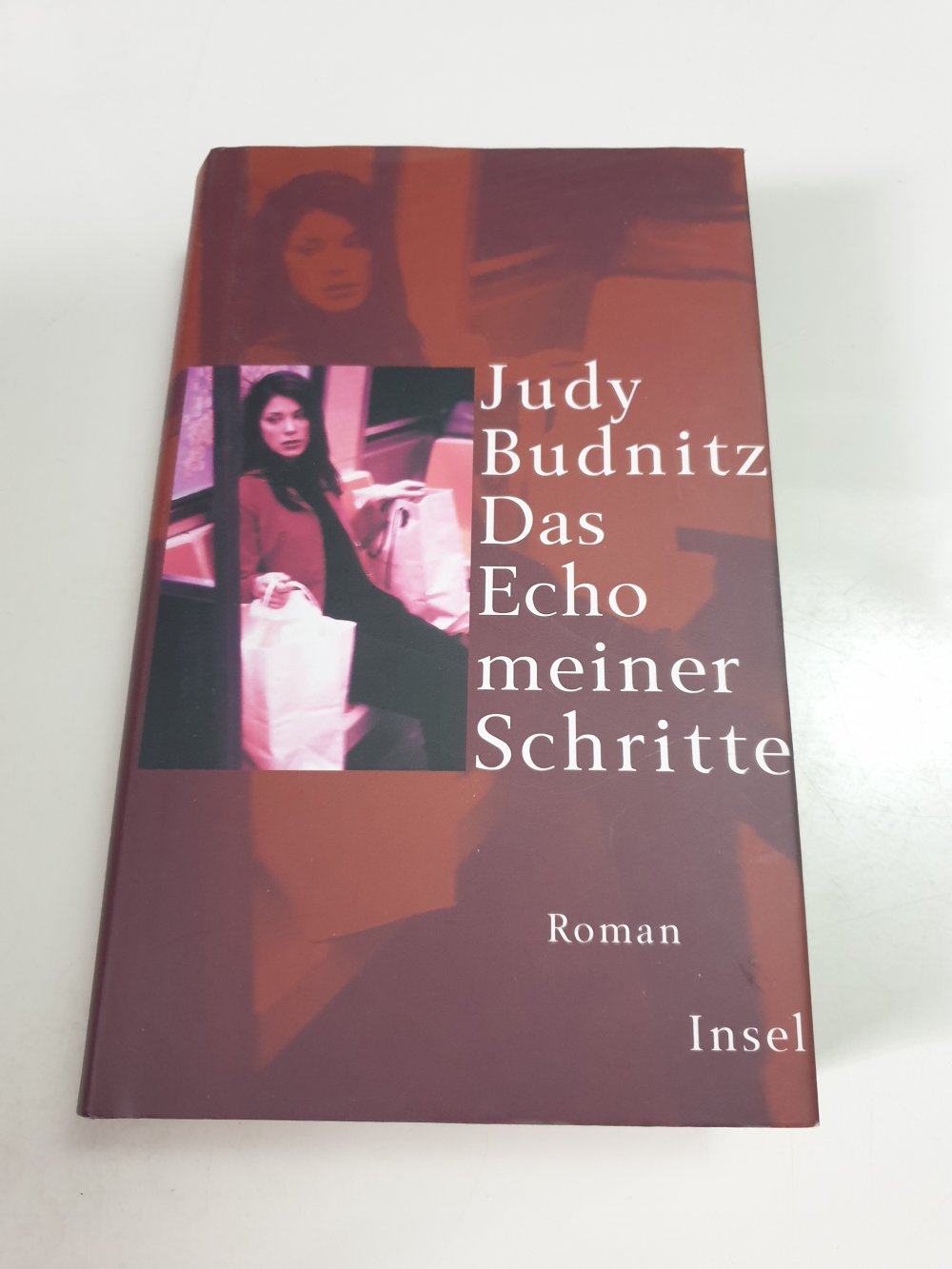 Das Echo meiner Schritte - Judy Budnitz