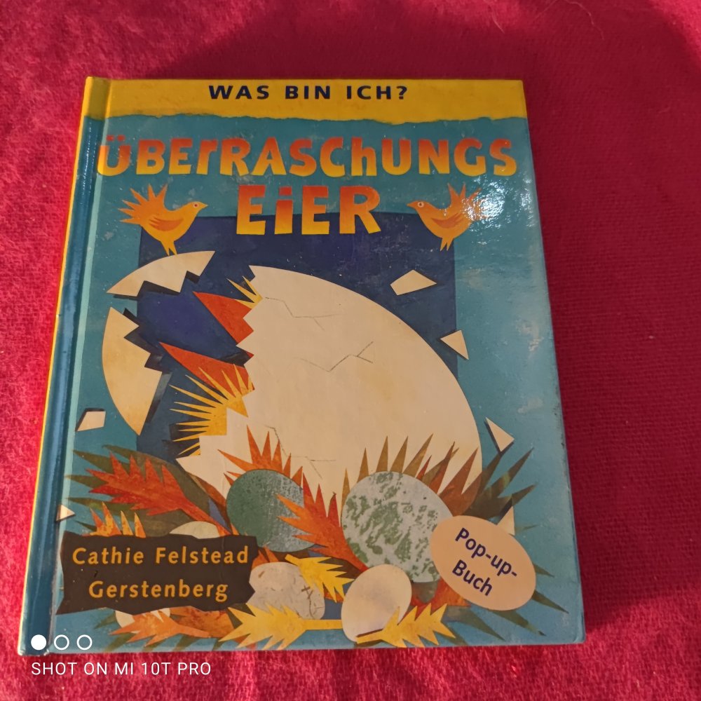 Was bin ich ? - Überraschungseier