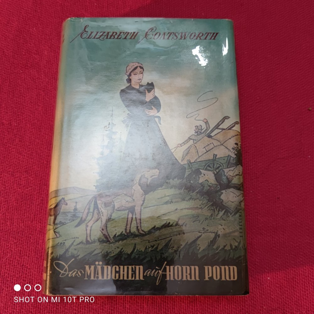Das Mädchen auf Horn-Pond - Elizabeth Coatsworth